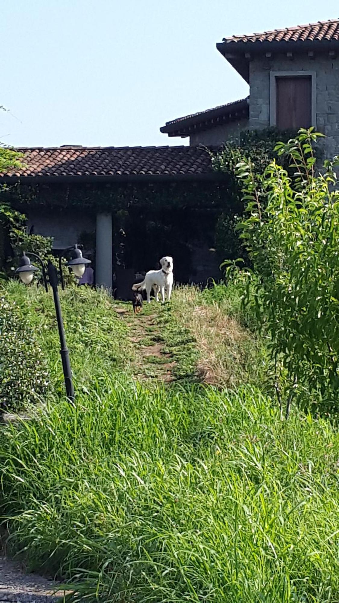 B&B Villa Melograno Pontoglio Exterior foto